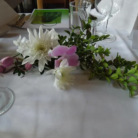 Hotel Turistheim