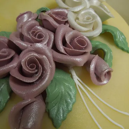 쇼크 투리스트하임 호텔 Skjåk