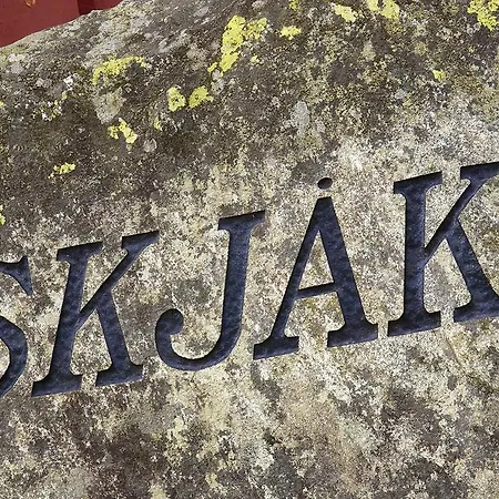 쇼크 투리스트하임